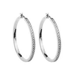 Silver and Crystal Hoop Earrings